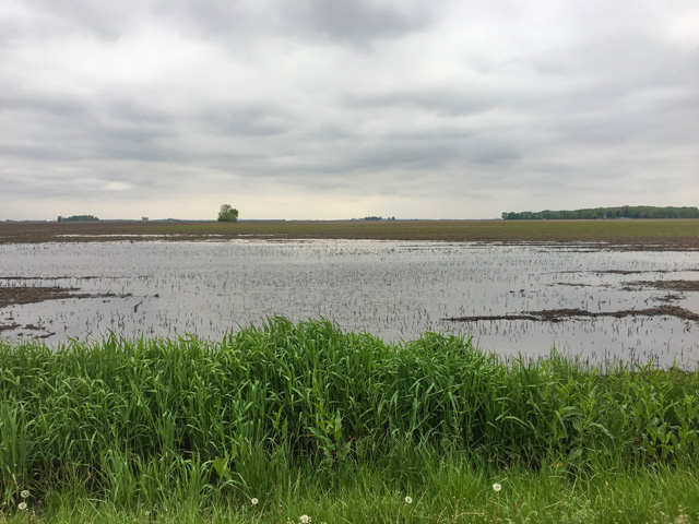 Swamped fields leave farmers with tough planting choices. While weather will play a key part in the decision, so will the markets and USDA&#039;s updated Market Facilitation Program. (DTN photo by Pamela Smith)